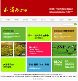 定制網站建設與企業(yè)營銷策劃的融合之道 以武漢南方略與騰飛立仁為例